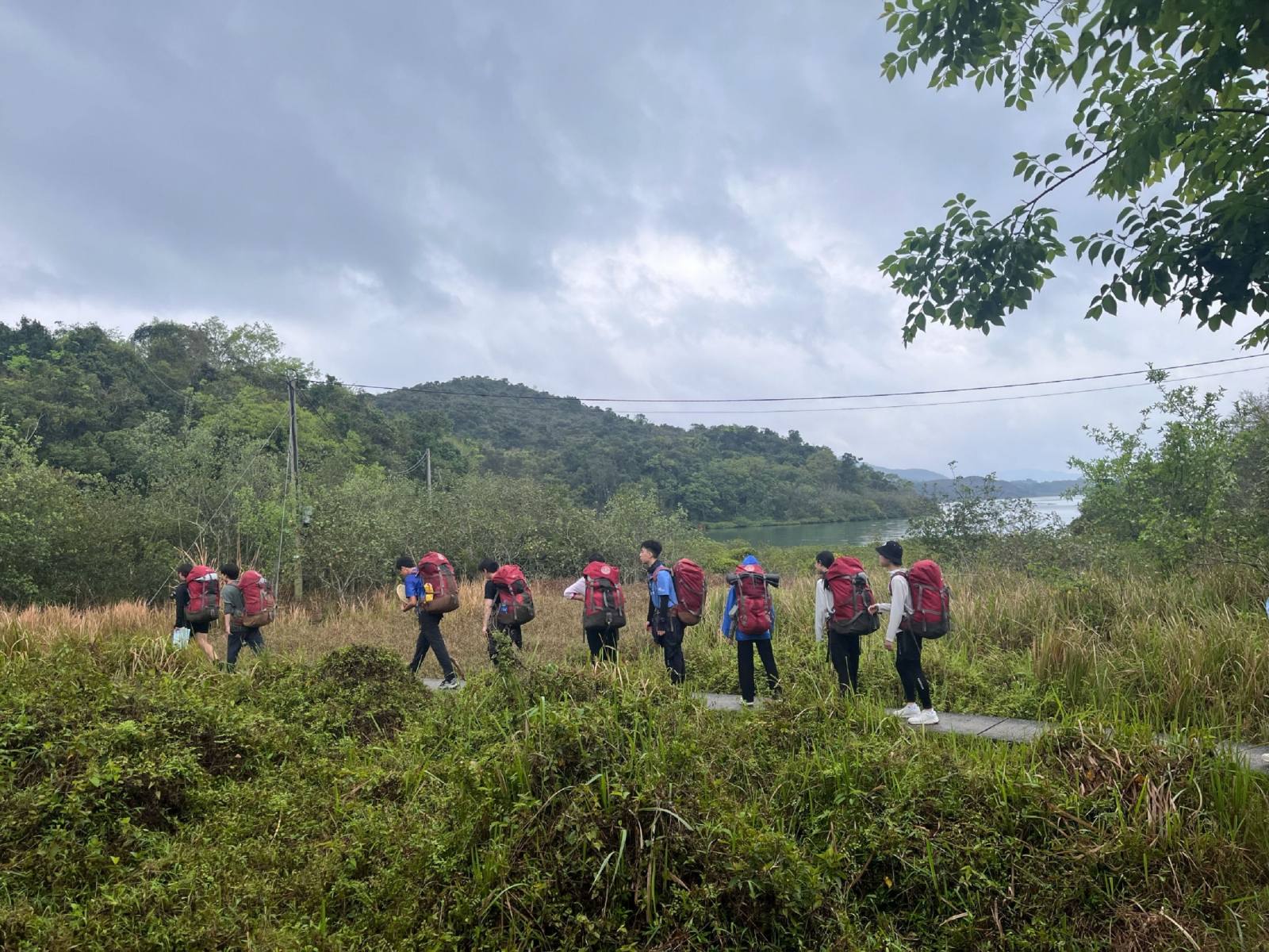 MicrosoftTeams-image_(3)_(1)-01